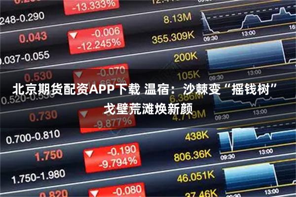 北京期货配资APP下载 温宿：沙棘变“摇钱树” 戈壁荒滩焕新颜