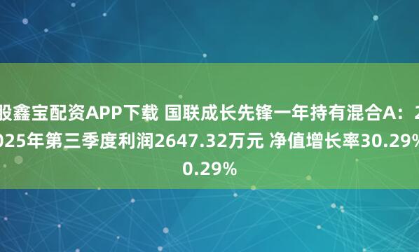 股鑫宝配资APP下载 国联成长先锋一年持有混合A：2025年第三季度利润2647.32万元 净值增长率30.29%