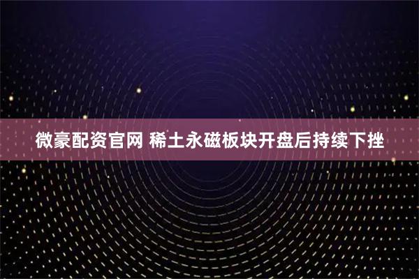 微豪配资官网 稀土永磁板块开盘后持续下挫